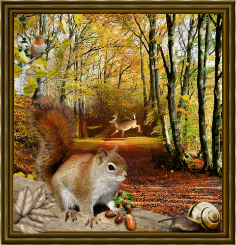 Jesienna wiewiórka